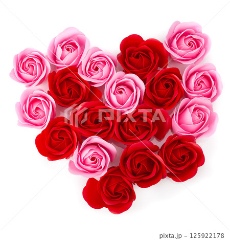 Pink rose blossom isolated on white background. 125922178