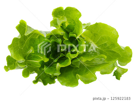 Lettuce Romain isolated on a transparent background Lettuce Romain isolated on a transparent background 125922183