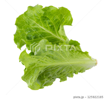 Lettuce Romain isolated on a transparent background 125922185