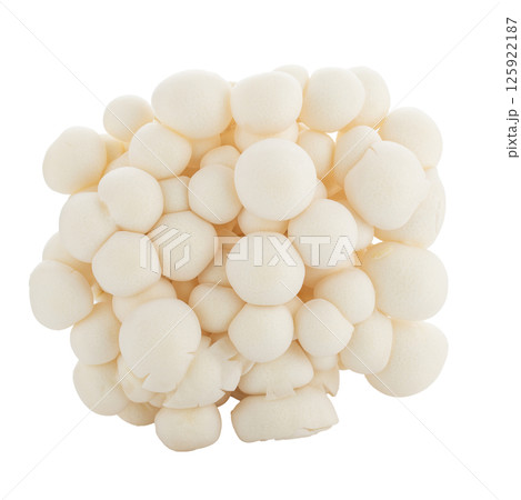 Bunapi mushroom, White beech mushrooms, Shimeji mushroom, Edible mushroom isolated on white background Bunapi mushroom, White beech mushrooms, Shimeji mushroom, Edible mushroom isolated on white background 125922187