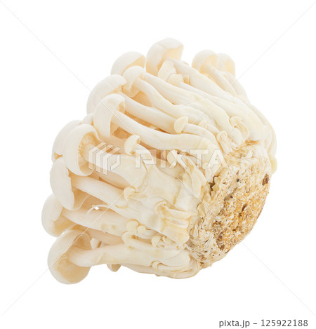 Bunapi mushroom, White beech mushrooms, Shimeji mushroom, Edible mushroom isolated on white background 125922188