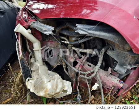 Abandoned cars after accidents in a dense overgrown setting Abandoned cars after accidents in a dense overgrown setting 125922651