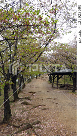 弘法山古墳 弘法山古墳 125922699