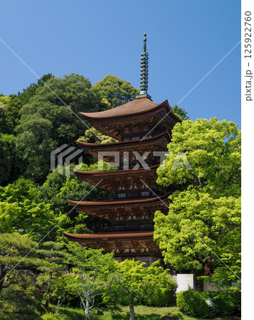 瑠璃光寺五重塔2025 瑠璃光寺五重塔2025 125922760