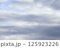 雲が多い薄曇りの空 125923226
