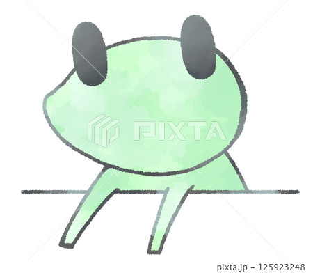 むこう側から上半身をだして見つめるカエル 125923248