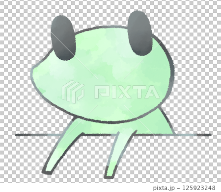 むこう側から上半身をだして見つめるカエル 125923248