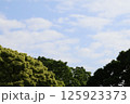 晴れた日の公園の空 125923373