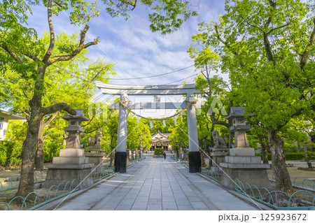 湊川神社　まっすぐに伸びた石畳の参道と大鳥居 125923672