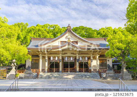 湊川神社　本社社殿 125923675