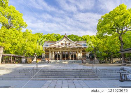 湊川神社 本社社殿 湊川神社 本社社殿 125923676