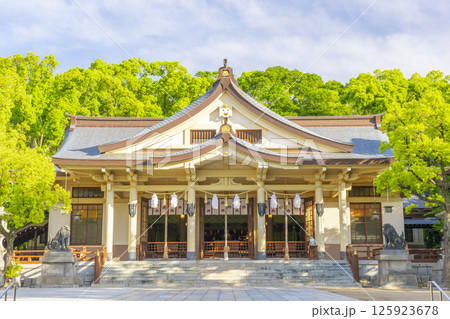 湊川神社 本社社殿 湊川神社 本社社殿 125923678