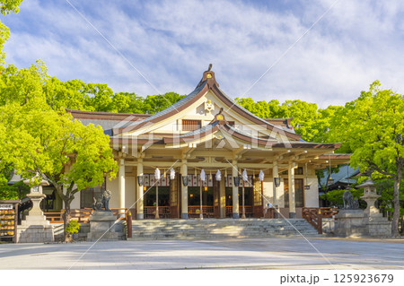湊川神社　本社社殿 125923679