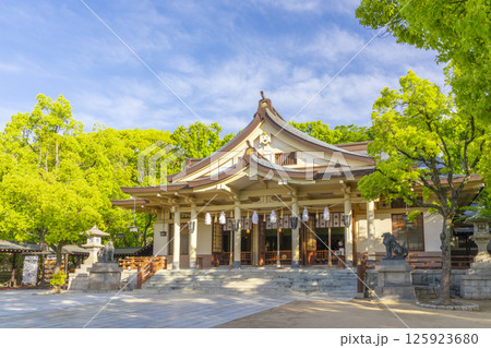 湊川神社 本社社殿 湊川神社 本社社殿 125923680