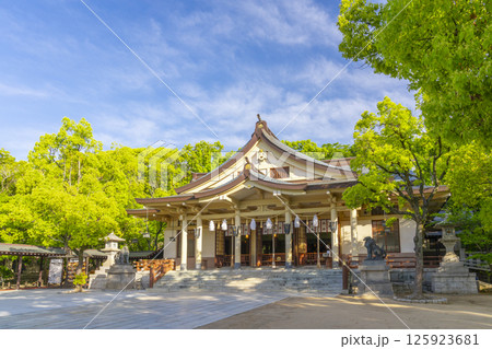 湊川神社 本社社殿 湊川神社 本社社殿 125923681