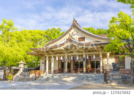 湊川神社　本社社殿 125923682