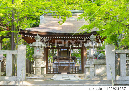 湊川神社　菊水天満神社（兵庫県神戸市） 125923687