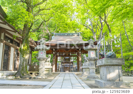 湊川神社 菊水天満神社(兵庫県神戸市) 湊川神社 菊水天満神社(兵庫県神戸市) 125923689