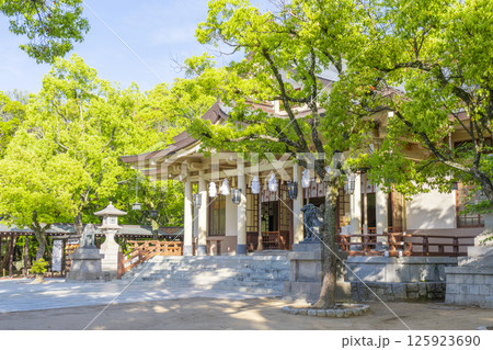 湊川神社　本社社殿 125923690