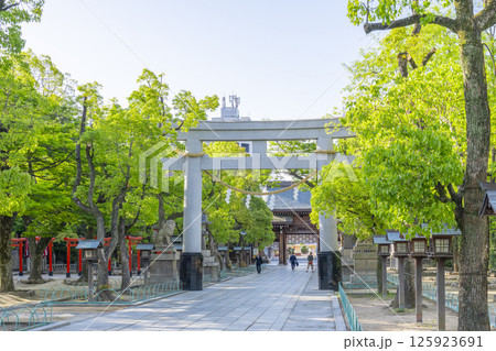 湊川神社　まっすぐに伸びた石畳の参道と大鳥居 125923691