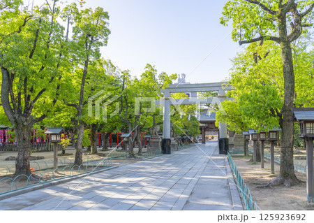 湊川神社　まっすぐに伸びた石畳の参道と大鳥居 125923692