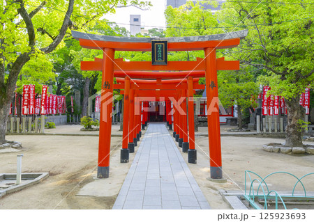 湊川神社　楠本稲荷神社（兵庫県神戸市） 125923693