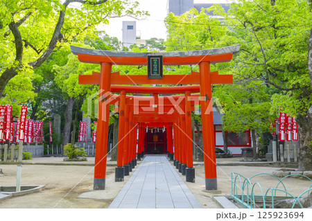 湊川神社　楠本稲荷神社（兵庫県神戸市） 125923694