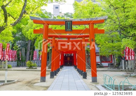 湊川神社　楠本稲荷神社（兵庫県神戸市） 125923695