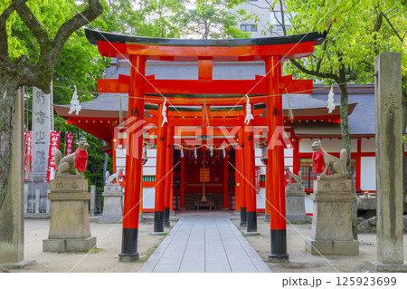 湊川神社　楠本稲荷神社（兵庫県神戸市） 125923699