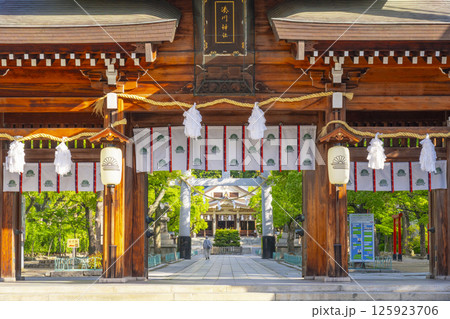 湊川神社　立派な表神門から見える本社社殿 125923706