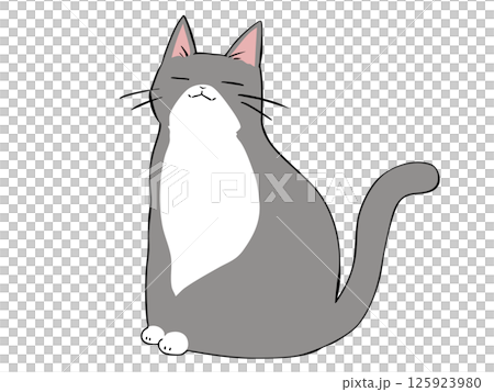灰貓坐著 灰貓坐著 125923980