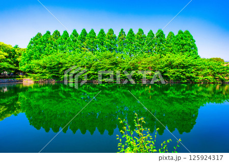 大阪城公園の新緑と外濠 125924317