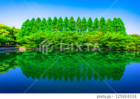 大阪城公園の新緑と外濠 125924318