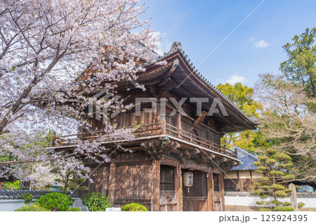 【第1番札所】桜咲く霊山寺 仁王門【四国八十八箇所】 【第1番札所】桜咲く霊山寺 仁王門【四国八十八箇所】 125924395