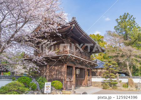 【第1番札所】桜咲く霊山寺　仁王門【四国八十八箇所】 125924396