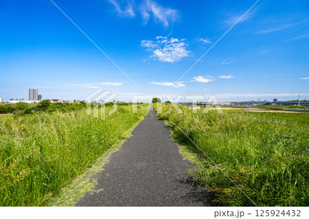松戸に流れる江戸川土手の上に広がる青空と一本道 125924432
