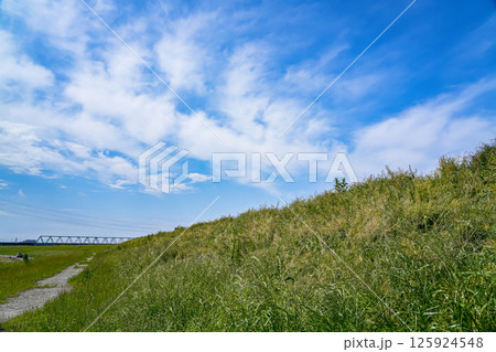江戸川土手のある風景 125924548
