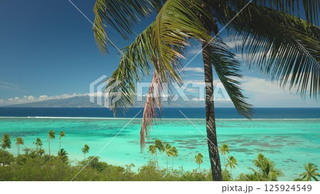 Green palm trees sway in breeze, stunning tropical island paradise, turquoise water and vibrant coral reef under clear blue sky. Popular travel destination, remote wild nature, exotic summer travel 125924549