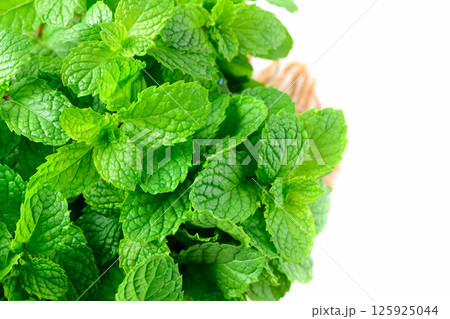 Fresh peppermint in wood bowl isolated on white background. It is widely used in food, beverages, cosmetics, and medicinal products due to its natural menthol Fresh peppermint in wood bowl isolated on white background. It is widely used in food, beverages, cosmetics, and medicinal products due to its natural menthol 125925044