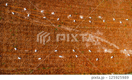 Aerial view of tractor plowing in spring. Tractor drives preparing beds for planting seedlings in cultivated soil. 125925989