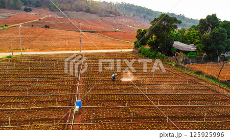 Aerial view of tractor plowing in spring. Tractor drives preparing beds for planting seedlings in cultivated soil. Aerial view of tractor plowing in spring. Tractor drives preparing beds for planting seedlings in cultivated soil. 125925996