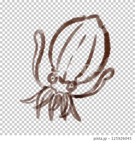 シンプルなアオリイカのイラスト(線画) シンプルなアオリイカのイラスト(線画) 125926045