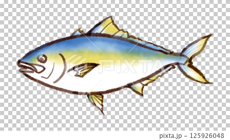鰤魚插圖(水墨畫風格) 鰤魚插圖(水墨畫風格) 125926048