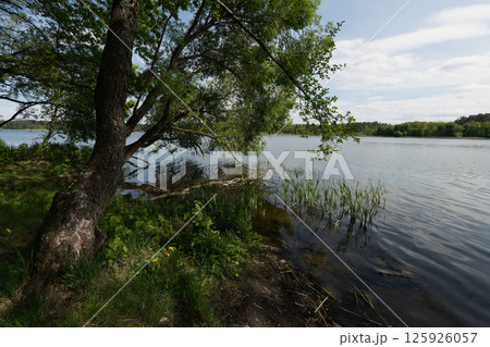 A serene lakeside view with a tree in the foreground under a bright sky. A serene lakeside view with a tree in the foreground under a bright sky. 125926057