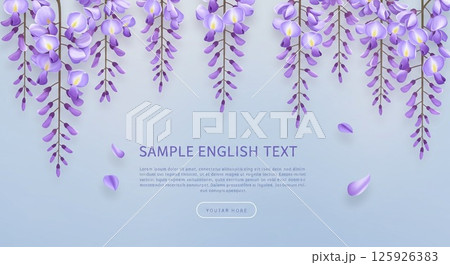 豊かな紫色の藤の花と穏やかな青の背景 125926383