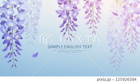 豊かな紫色の藤の花と穏やかな青の背景 豊かな紫色の藤の花と穏やかな青の背景 125926384
