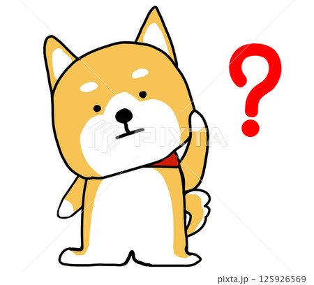 首を傾げて困っているしばいぬ 首を傾げて困っているしばいぬ 125926569