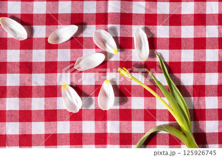Scattered white flower petals with yellow accents and a green stem lie on a vibrant red and white checkered tablecloth evoking springtime feeling 125926745