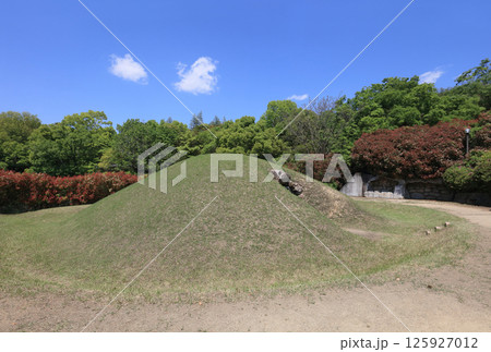 善通寺市の有岡古墳群の宮が尾古墳 125927012