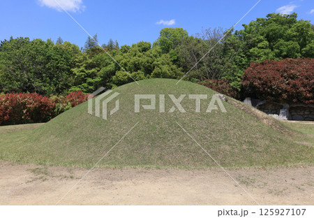 善通寺市の有岡古墳群の宮が尾古墳 善通寺市の有岡古墳群の宮が尾古墳 125927107